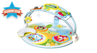 Skip Hop Explore & More Amazing Arch Activity Gym