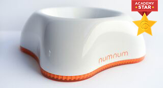 NumNum Beginner Bowl