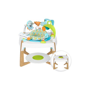 exersaucer gleeful sea 2 in 1 activity center art table